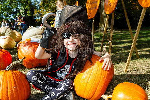 Soham Pumpkin Fair