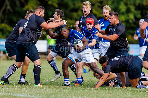 Rugby action from Diss v Holt