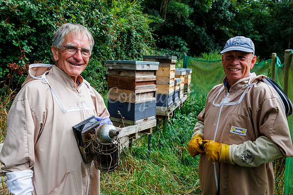 Starston Community Bee Group is celebrating 10 years