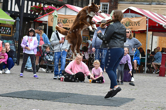 Newark Book Festival