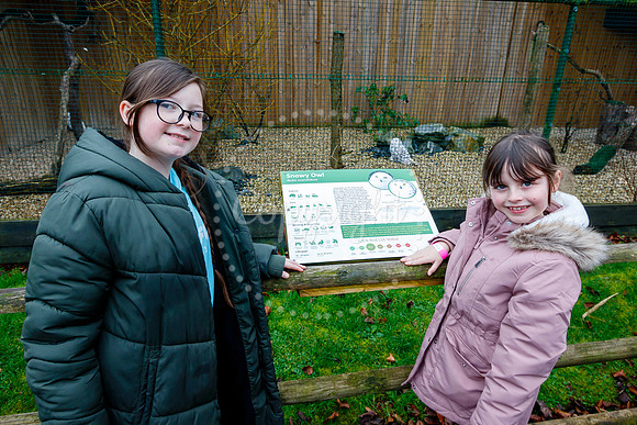 Suffolk Owl Sanctuary