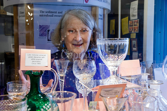 Ann Kent has a new exhibition in the community cabinet of Diss M