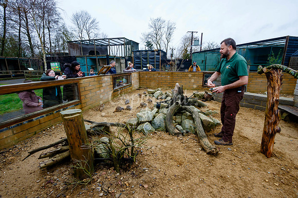 Suffolk Owl Sanctuary