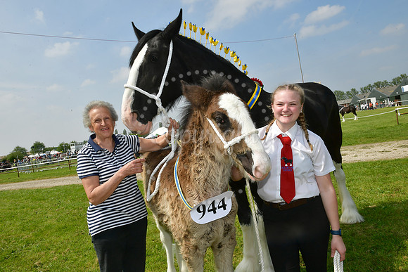 Nottingham County Show
