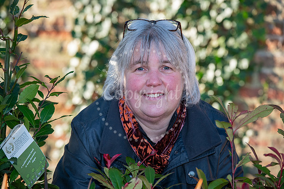 BFP Yvonne Harbutt at Rougham Hall Nurseries, Bury Road, Bury St