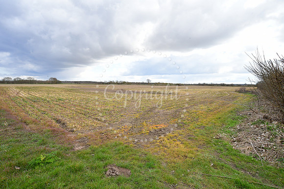 One Earth solar farm, Dunham on Trent