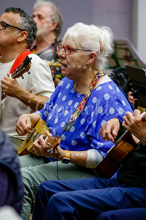 Ukele day held at the Cornhall in Diss