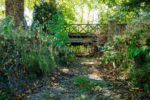 One of the streams which feeds the River Dove in Hoxne under Gol