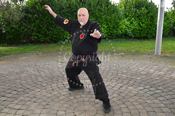 Ninjutsu