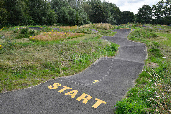 YMCA Olympic Feature