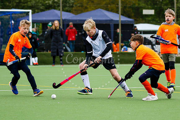 Harleston Magpies hosting the East In2Hockey Championships