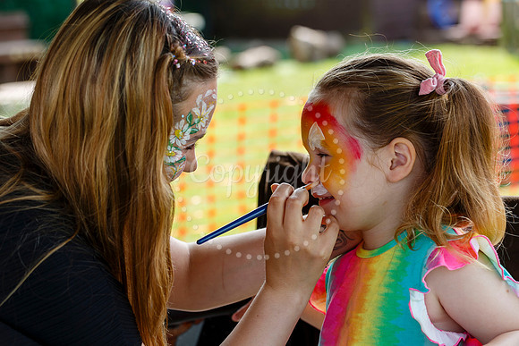 Roydon Summer Fair