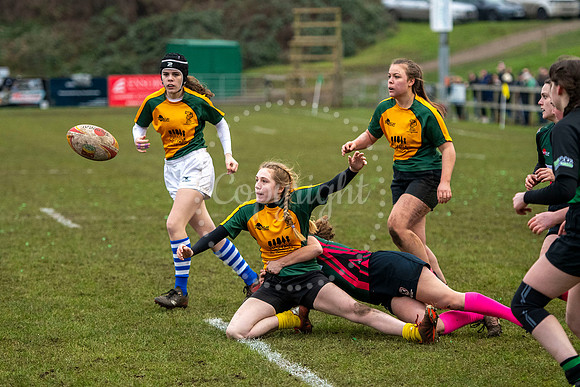 Bury St Edmunds Rugby Club, Southgate Green, Bury St EdmundsThe