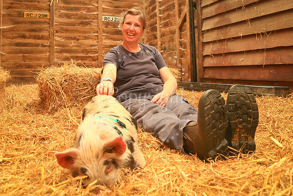 Everlong Farm