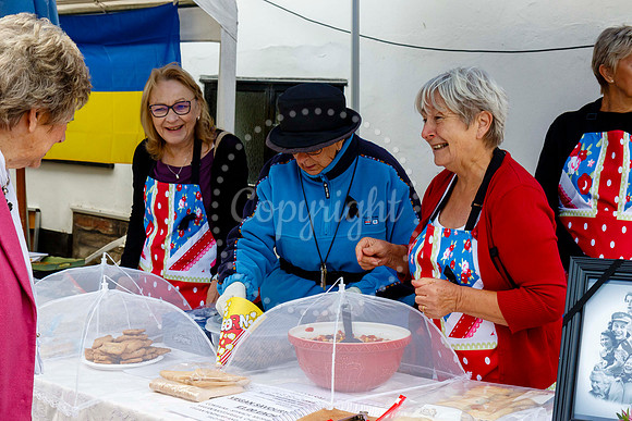 Harleston Food and Drink Festival, a Coronation Kitchen Market h