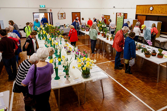 Diss and District Horticultural Society Spring Flower Show
