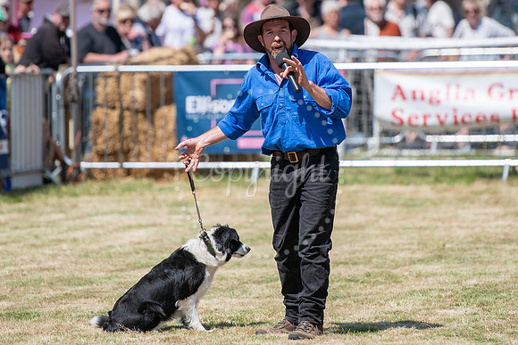 SPF Holbecks Park, Hadleigh, Suffolk186th Hadleigh Show. Pictur