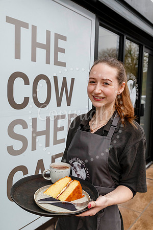 The Cow Shed Cafe in Stuston