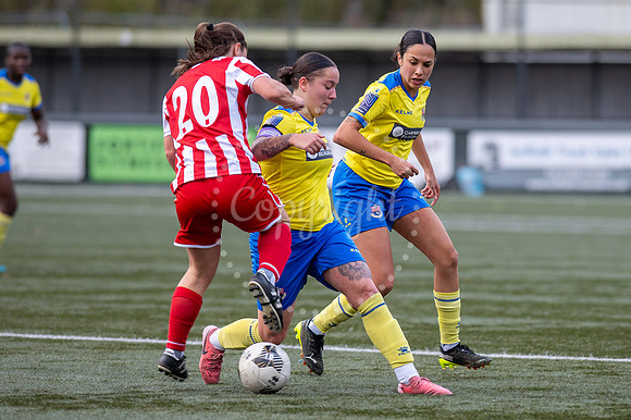 AFC Sudbury, Brundon Lane, Sudbury Football - AFC Sudbury hosti