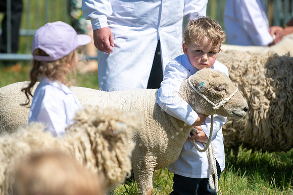 SPF Holbecks Park, Hadleigh, Suffolk186th Hadleigh Show. Pictur