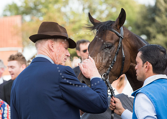 Iliffe Media