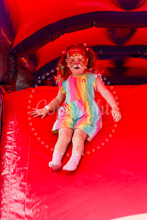 Roydon Summer Fair