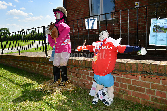 Dry Doddington Scarecrow trail