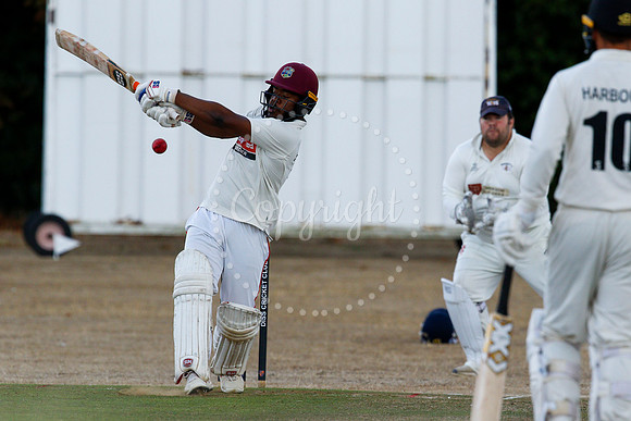 Cricket action from Diss v Bradfield