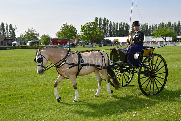 Nottingham County Show