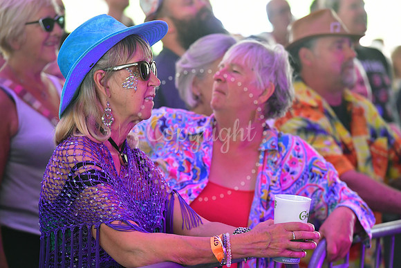 Gate To Southwell Festival
