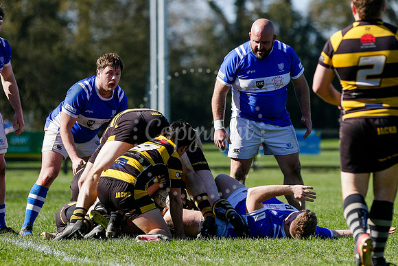 Rugby action from Diss vs Ely