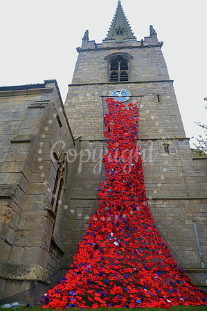 St Giles poppies