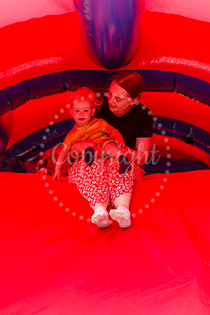 Roydon Summer Fair