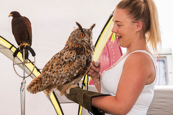 Journey Through The Ages : Vintage Rally and Country Fair at Pal