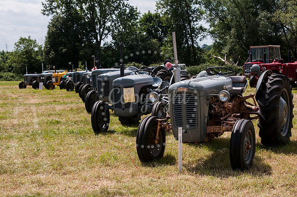 Journey Through The Ages : Vintage Rally and Country Fair at Pal
