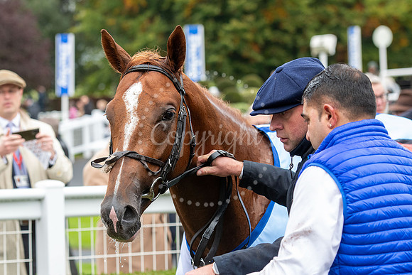 Newmarket Rowley Mile racecourseDubai Future Champions’ weeke