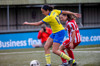 AFC Sudbury, Brundon Lane, Sudbury Football - AFC Sudbury hosti