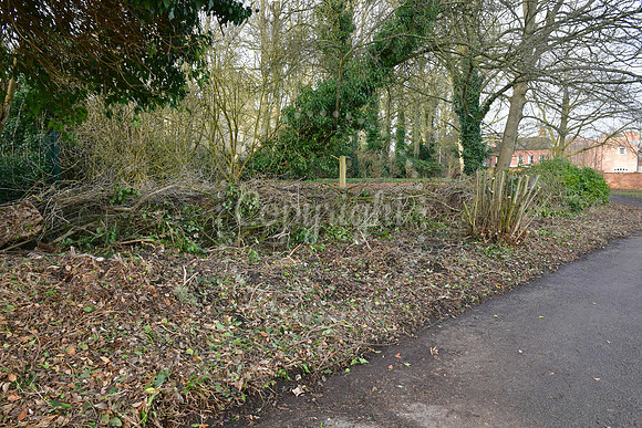 Minster field hedge