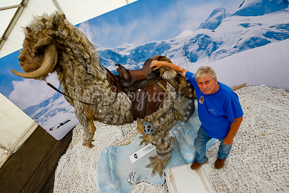 Legends Comic Con held at Stonham Barns