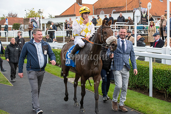 Newmarket Rowley Mile racecourseDubai Future Champions’ weeke