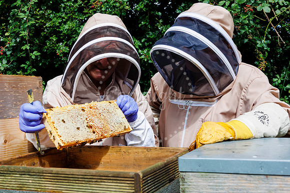 Starston Community Bee Group is celebrating 10 years