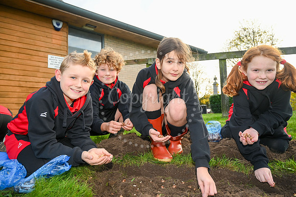 The Severals, Newmarket Pupils from Fairstead House School plant