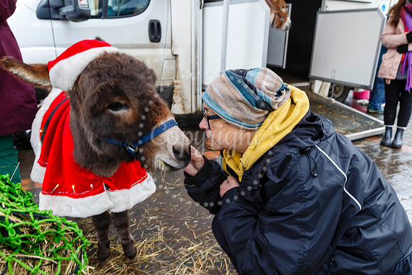 Visit Harleston’s festive day held on the Market Place in the