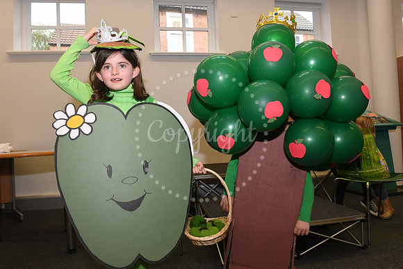 Bramley Apple Festival