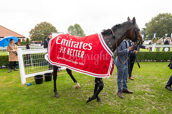 Newmarket Rowley Mile racecourseDubai Future Champions’ weeke