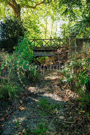 One of the streams which feeds the River Dove in Hoxne under Gol