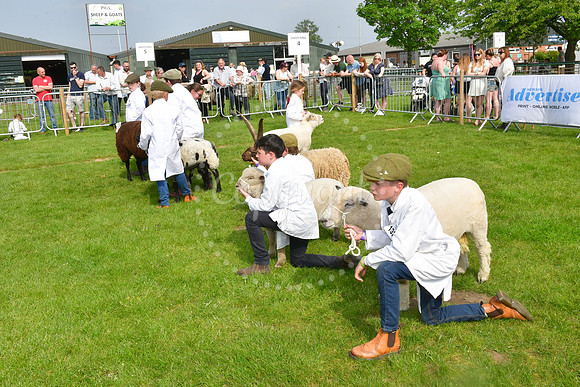 Nottingham County Show
