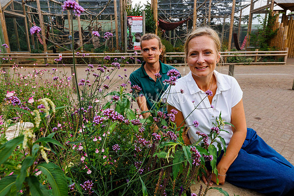 Volunteers have helped to cleared up a green space at Banham Zoo