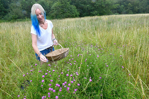 The Wildflower Witch