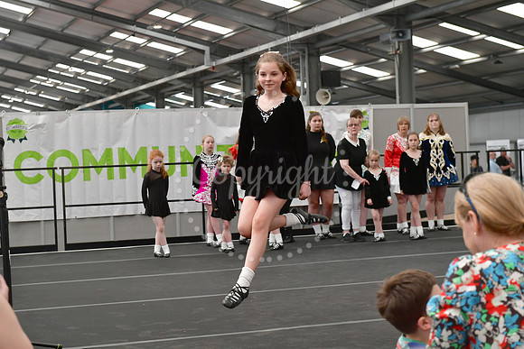 Nottingham County Show